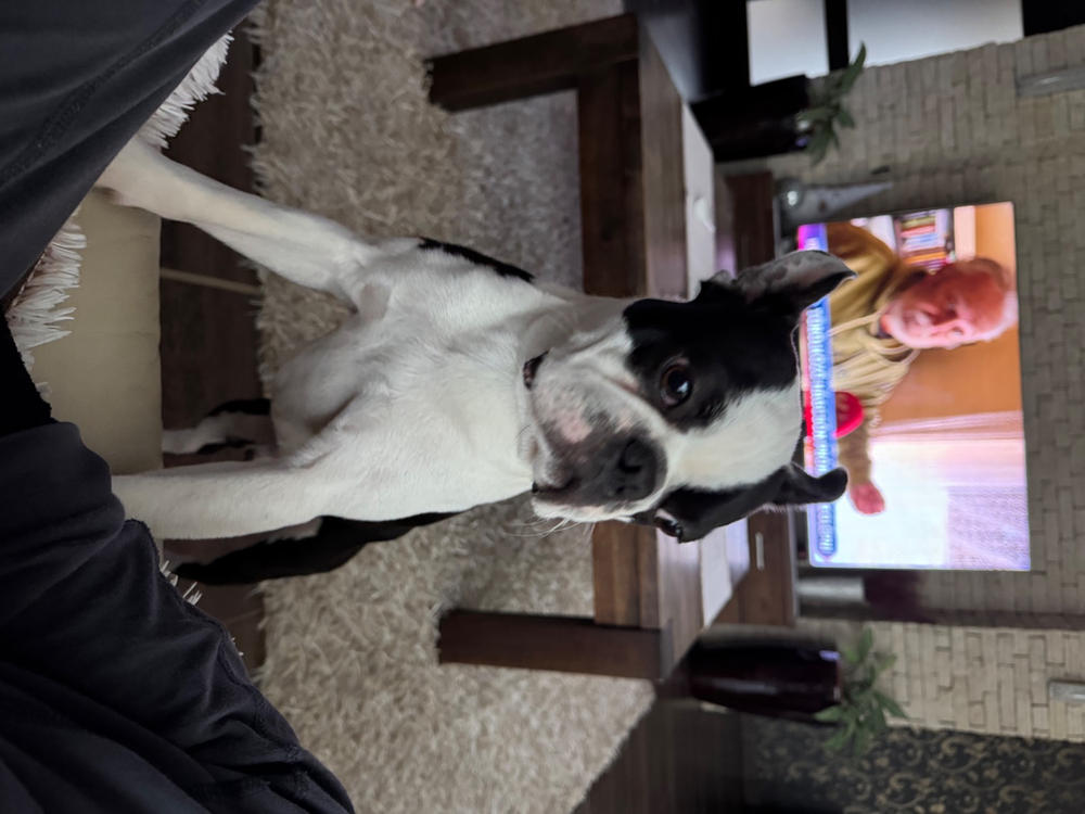 Életerő Omega Duó csomag - 250ml Vadlazac olaj + 250ml Kendermag olaj - Customer Photo From Koletta Mimon