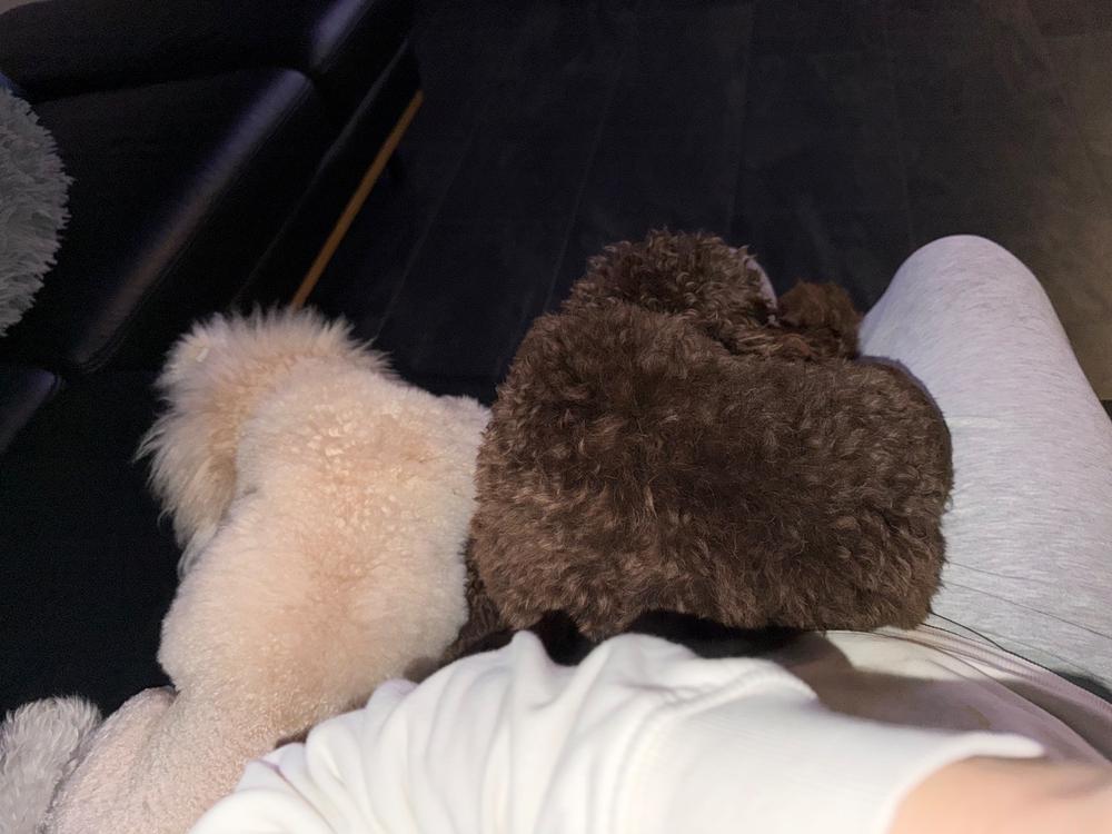 Nordcanin Multivitamin - 250 ml - Customer Photo From Horváth Eszter