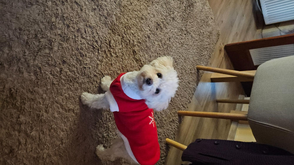 Nordcanin Multivitamin PRO+ - 100 ml - Customer Photo From Gyöngyi Hajduné Papp