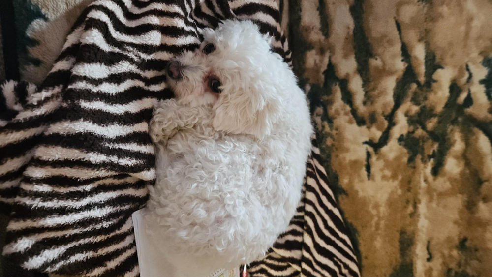 Nordcanin Multivitamin PRO+ - 100 ml - Customer Photo From Gyöngyi Hajduné Papp