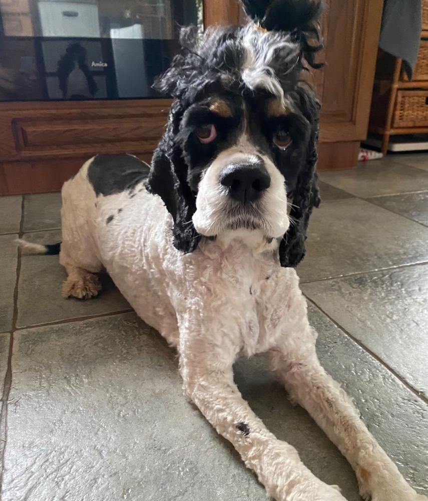 Nordcanin Multivitamin PRO+ - 250 ml - Customer Photo From Ildikó Győri