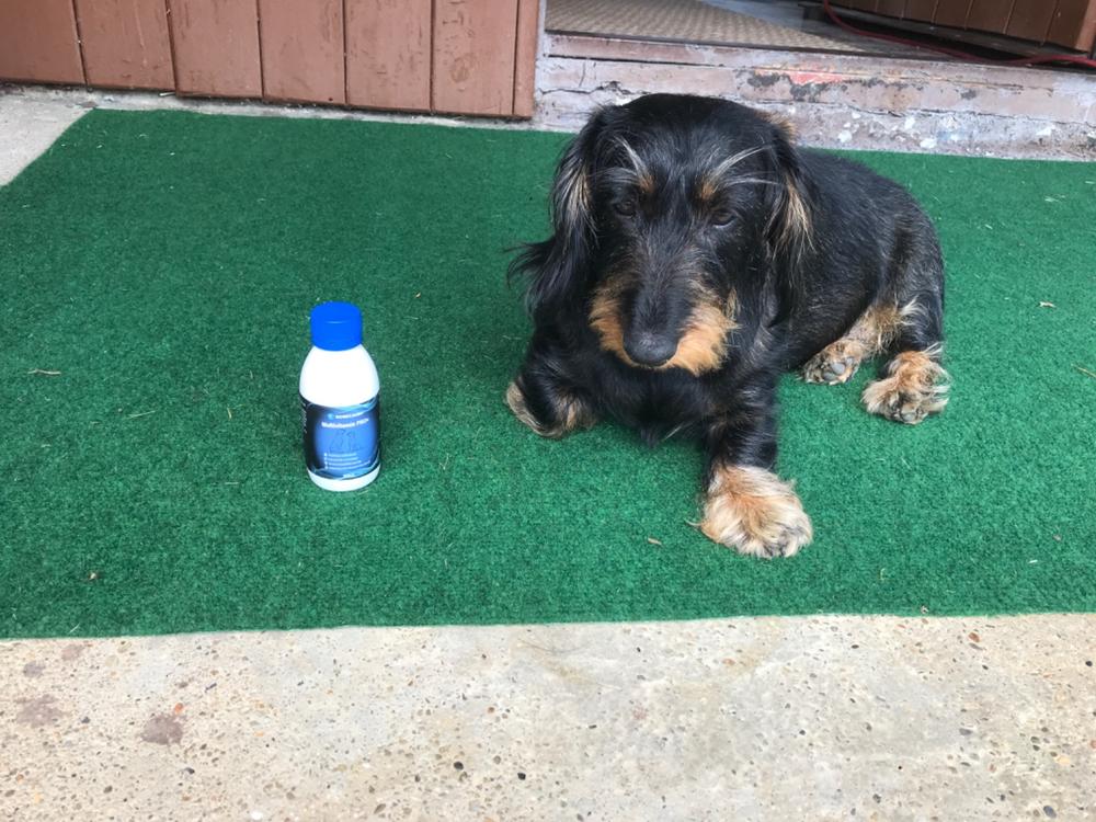 Nordcanin Multivitamin PRO+ - 100 ml - Customer Photo From Istvánné Kadlecsik
