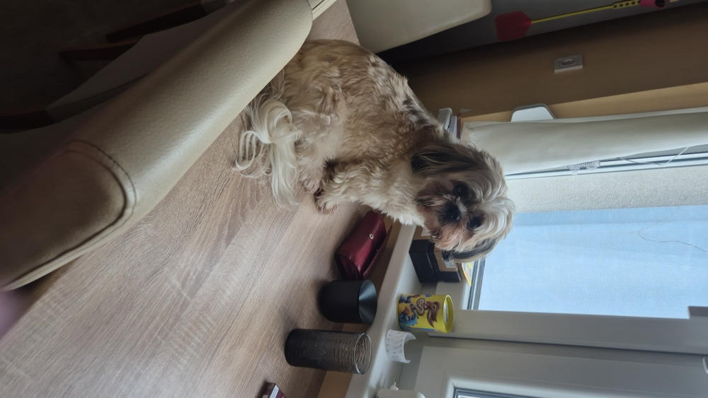 Nordcanin Allerginix PRO+ - 100 g - Customer Photo From Horvátné Nagy Szilvia