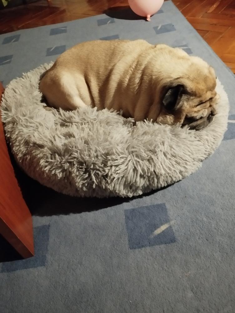 Nordcanin Allerginix PRO+ - 100 g - Customer Photo From Éva Hrapánné Vadovics