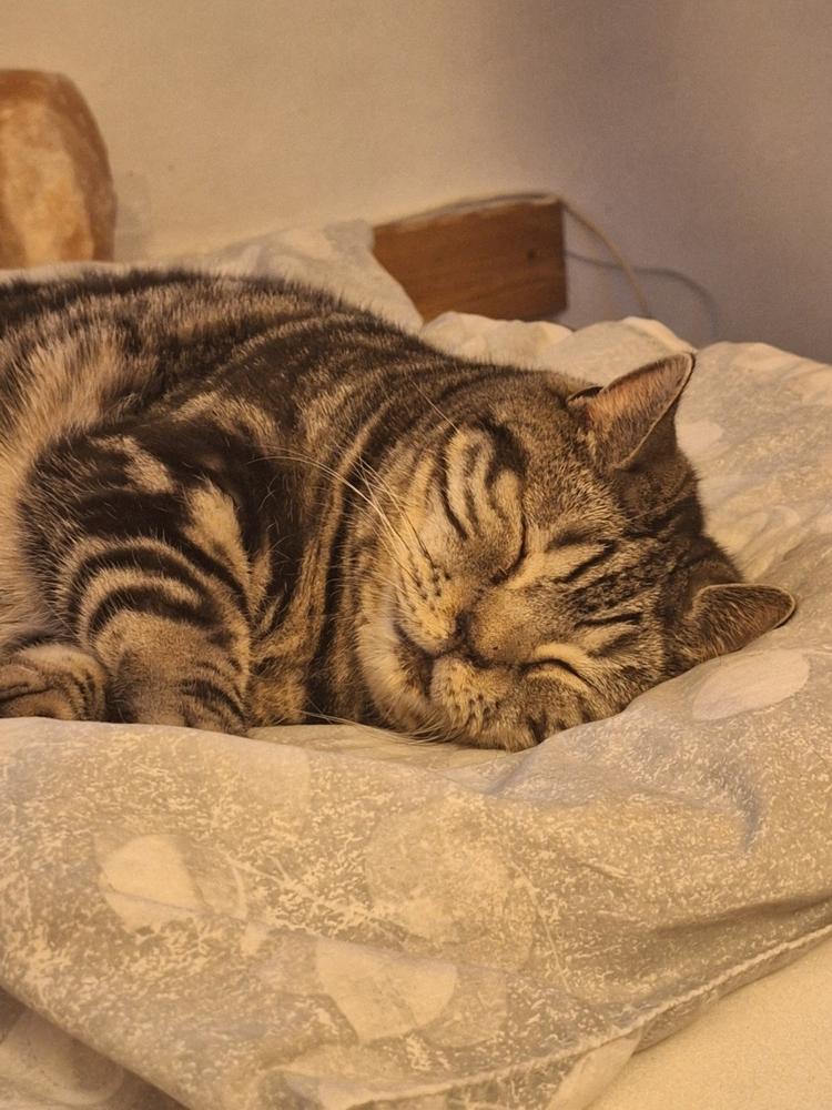 Nordcanin Meowin - 30 g - Customer Photo From Beáta Kovács Weidemann