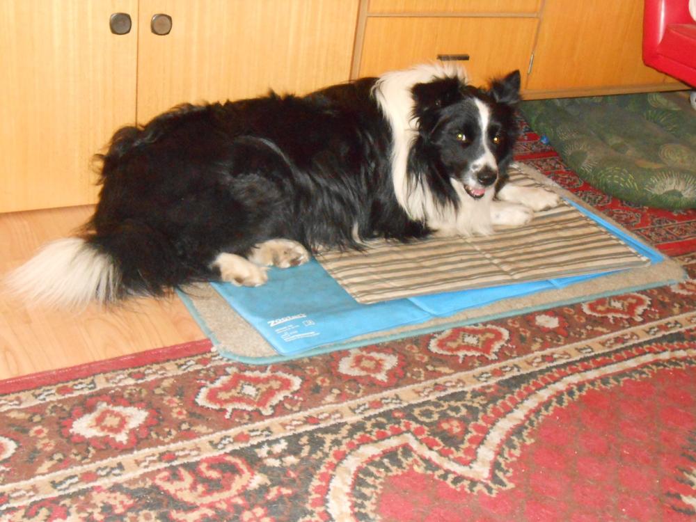 Nordcanin Fiberboost PUMPKIN SPICE - prebiotikus rost - 300 g - Customer Photo From Ibolya Szeibel