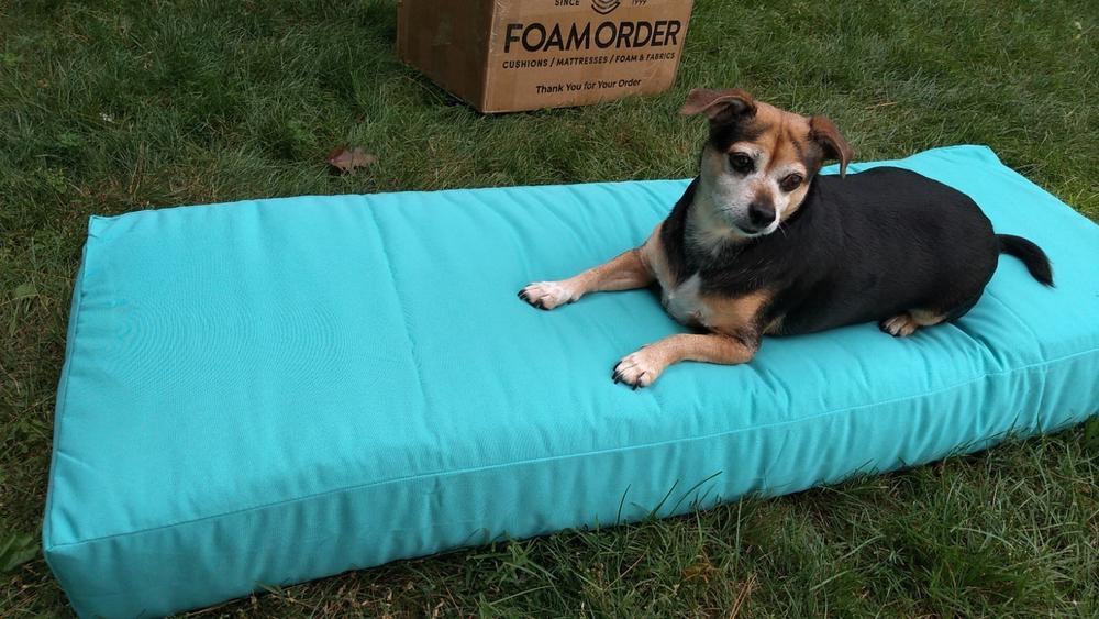 Small dog lying on a turquoise custom truck dog bed made for a Ford Ranger, next to a FoamOrder shipping box