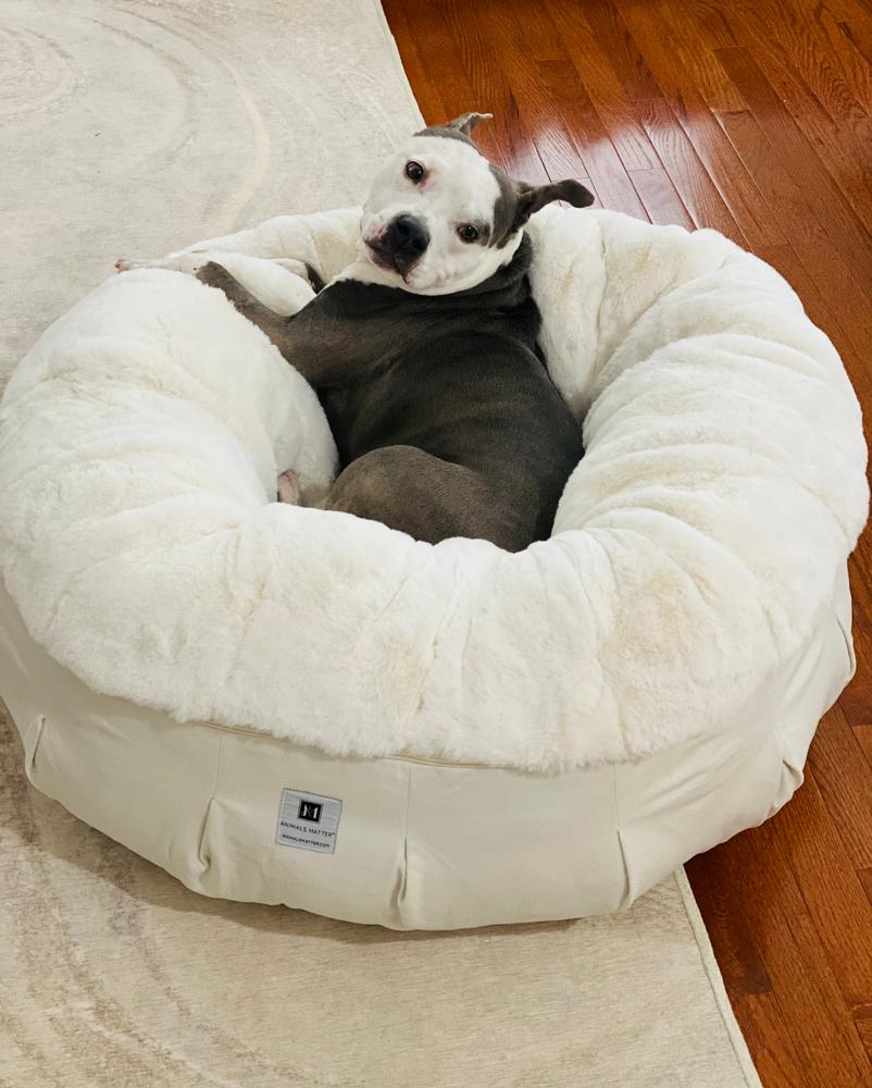 Animals Matter Ruby Puff Ortho Companion-Pedic Luxury Dog Bed Rug Light Gray / Large | Premium Pet Supplies for Dogs & Puppies