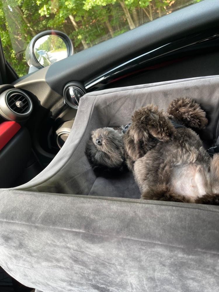 Animals Matter® Companion Travel Hammock Car Seat Cover