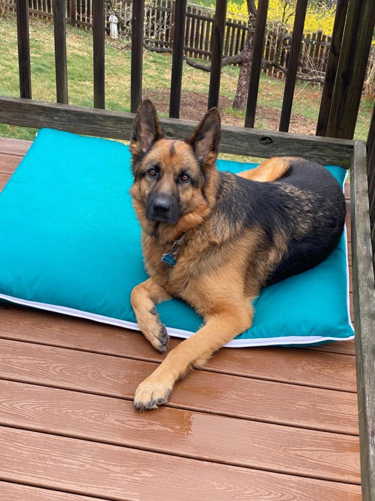 Animals Matter Raine Outdoor Floor Pillow Beach / Large | Premium Pet Supplies for Dogs & Puppies