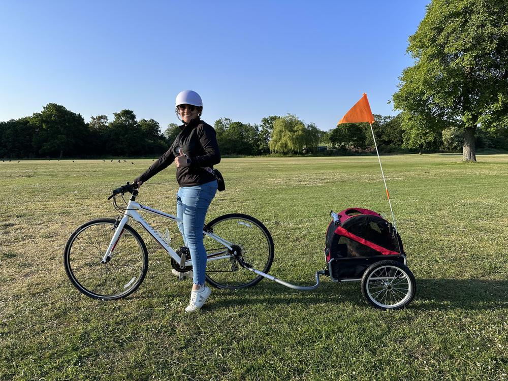 Mini DoggyRide dog bike trailer by Dutch Dog Free UK Shipping Red