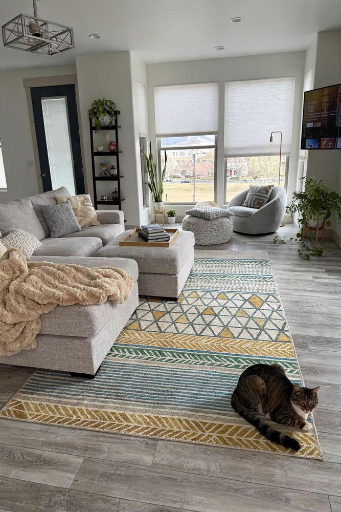 Cook Area Rug, Washable Rugs, Scandinavian Rugs, Orange Rugs