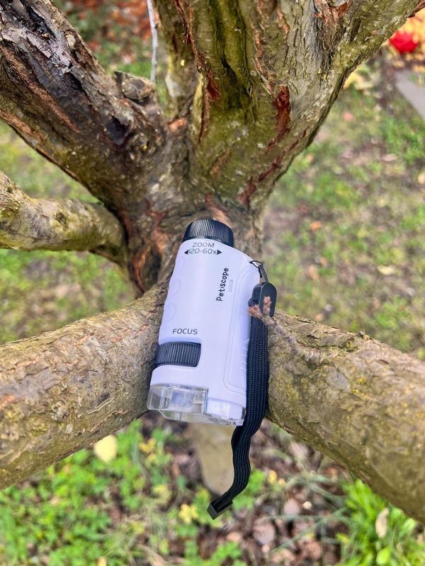 Le Petiscope - Customer Photo From Lauren C.