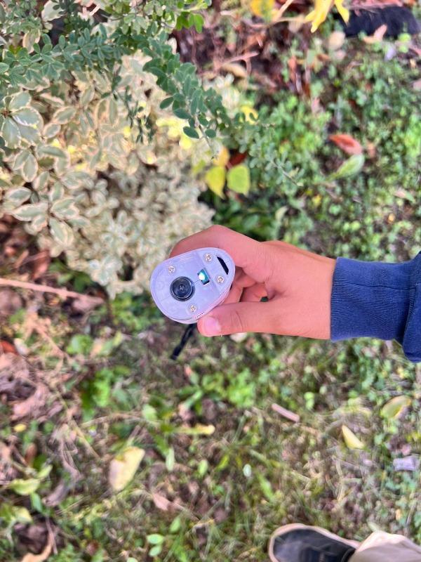 Le Petiscope - Customer Photo From Amanda J.