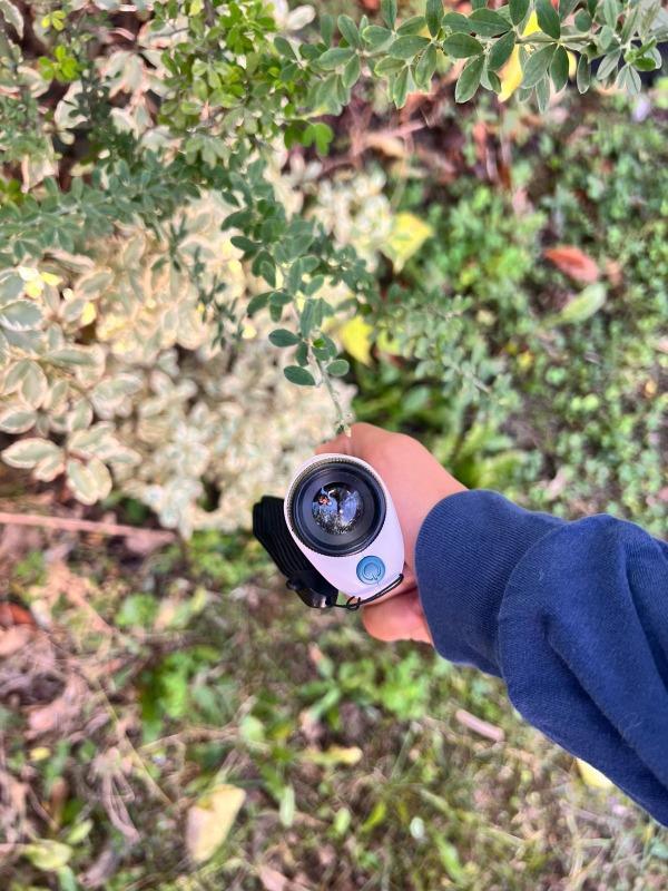 Le Petiscope - Customer Photo From Amanda J.