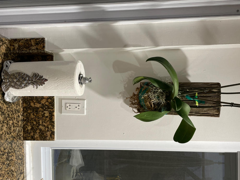 Pineapple Paper Towel Holder - Customer Photo From Elizabeth Varona 