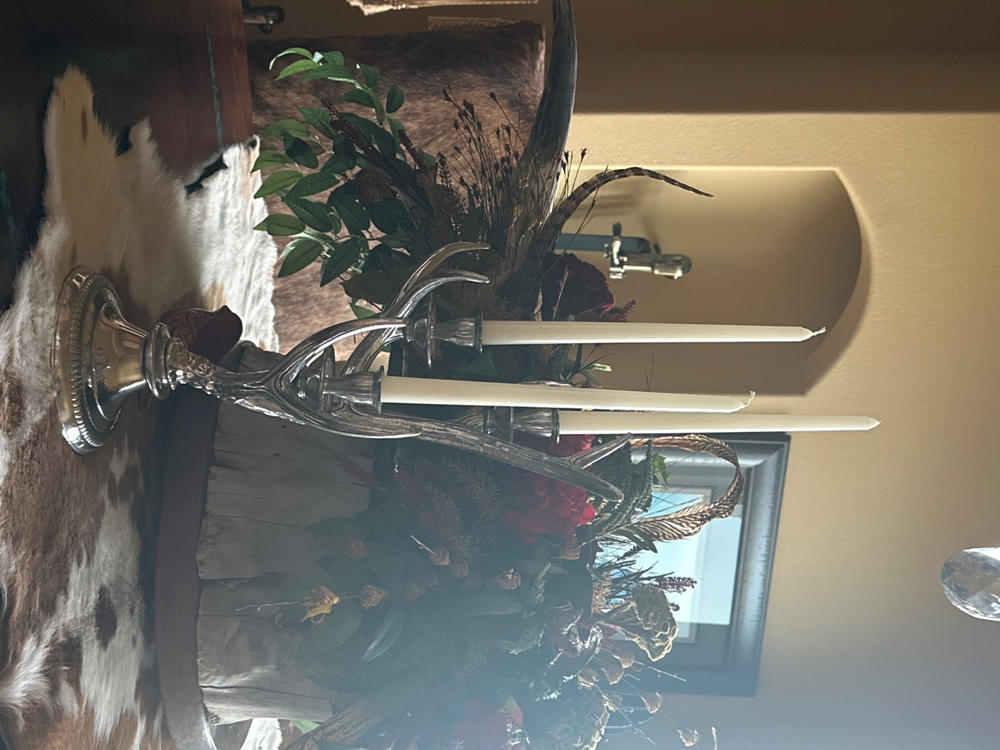 Three-Light Metal Antler Candlestick - Customer Photo From Susan Anderson