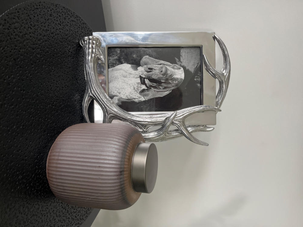 Antler Photo Frame - Customer Photo From emma young