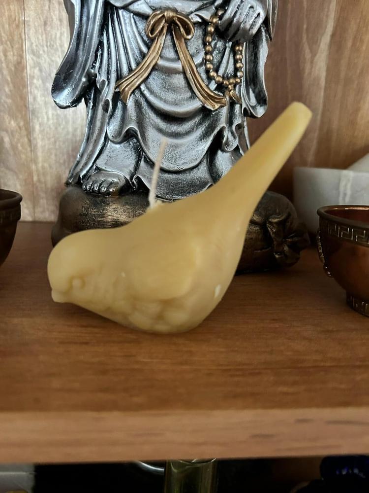 Beeswax Song Bird Candles - Customer Photo From Jessie
