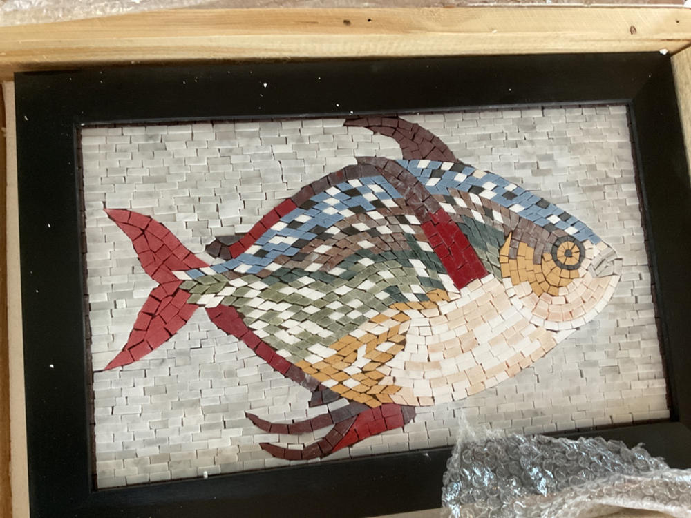 Beautiful Fish Marble Mosaic Tile Art - Customer Photo From Denise Taylor