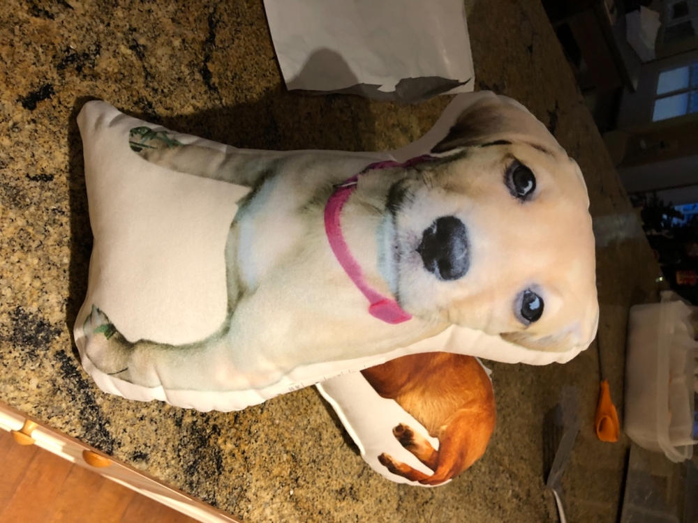 Custom Animal Pillow - Customer Photo From Judith Anne Kineke