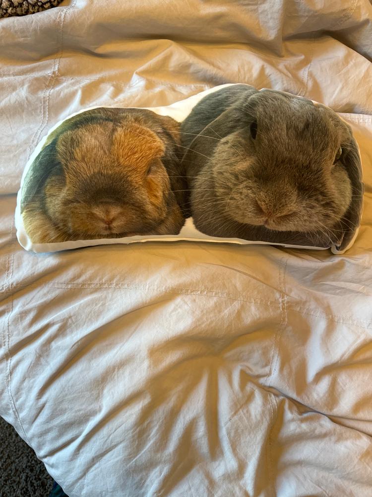 Custom Shaped Bunny Pillow - Customer Photo From Kassidy