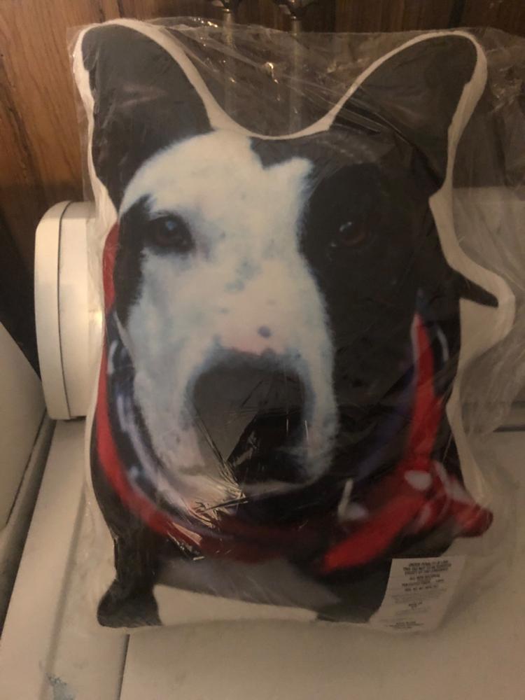 Custom Animal Pillow - Customer Photo From Regina 