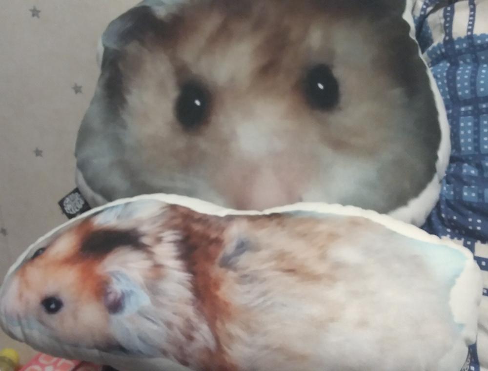 Custom Hamster Pillow - Customer Photo From Jess