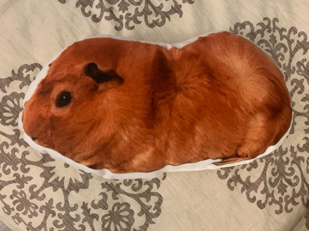 Custom Guinea Pig Pillow - Customer Photo From Sierra