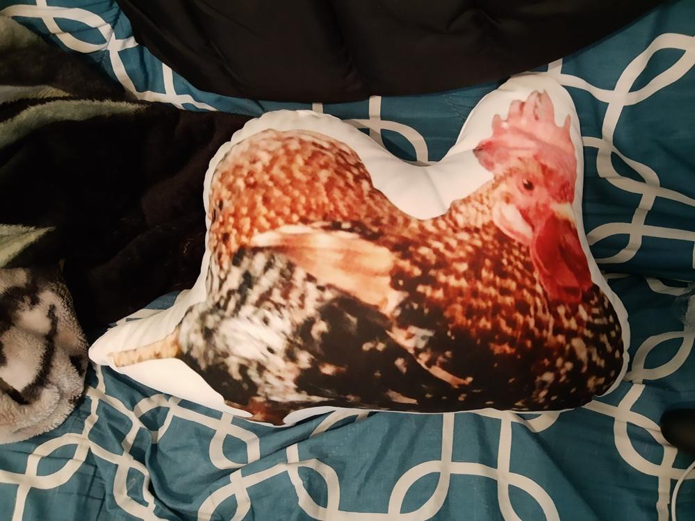 Custom Chicken Pillow - Customer Photo From Katherine Shults