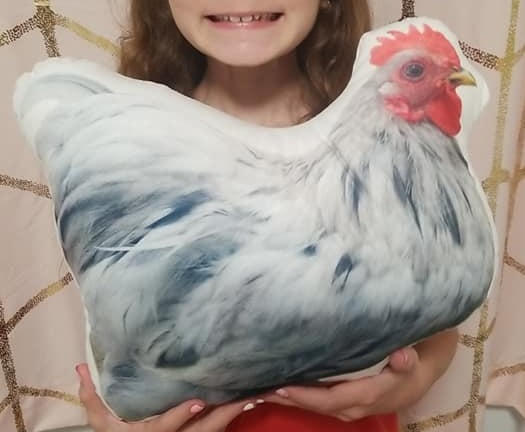 Custom Chicken Pillow - Customer Photo From Kayla Seever
