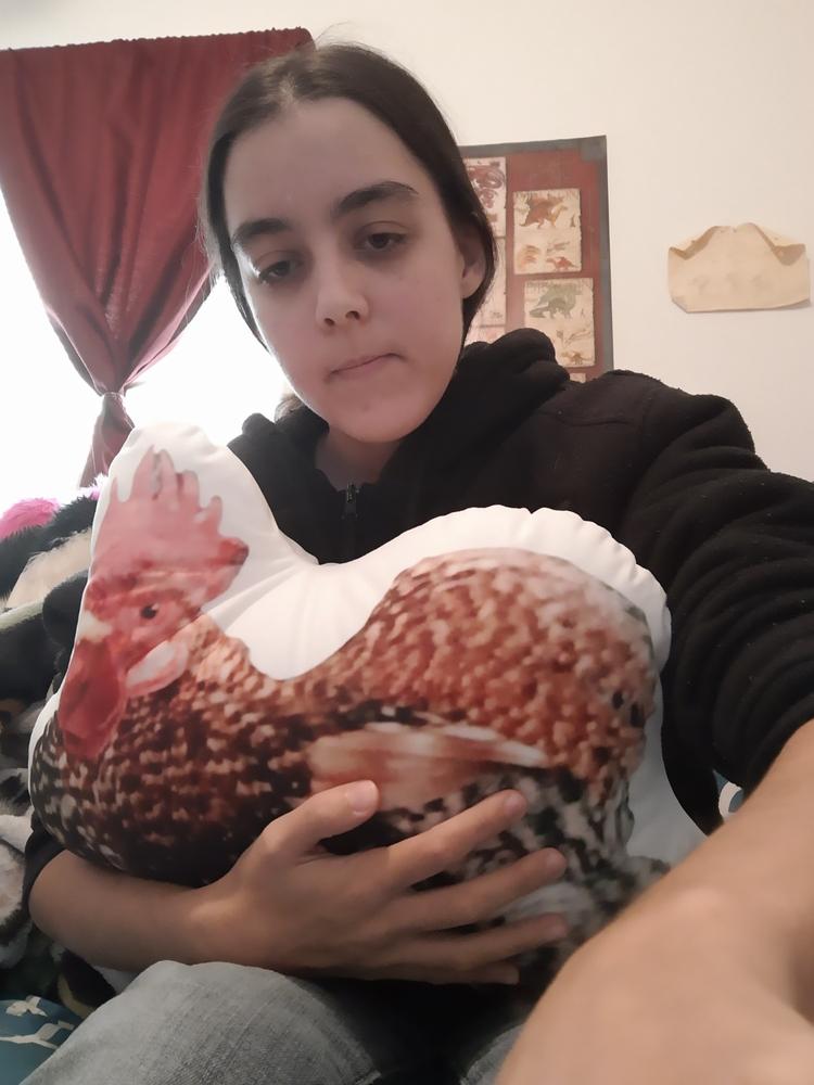 Custom Chicken Pillow - Customer Photo From Katherine Shults