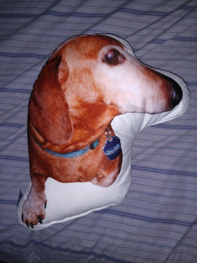 Custom Dachshund Shaped Dog Pillow - Customer Photo From teri smith