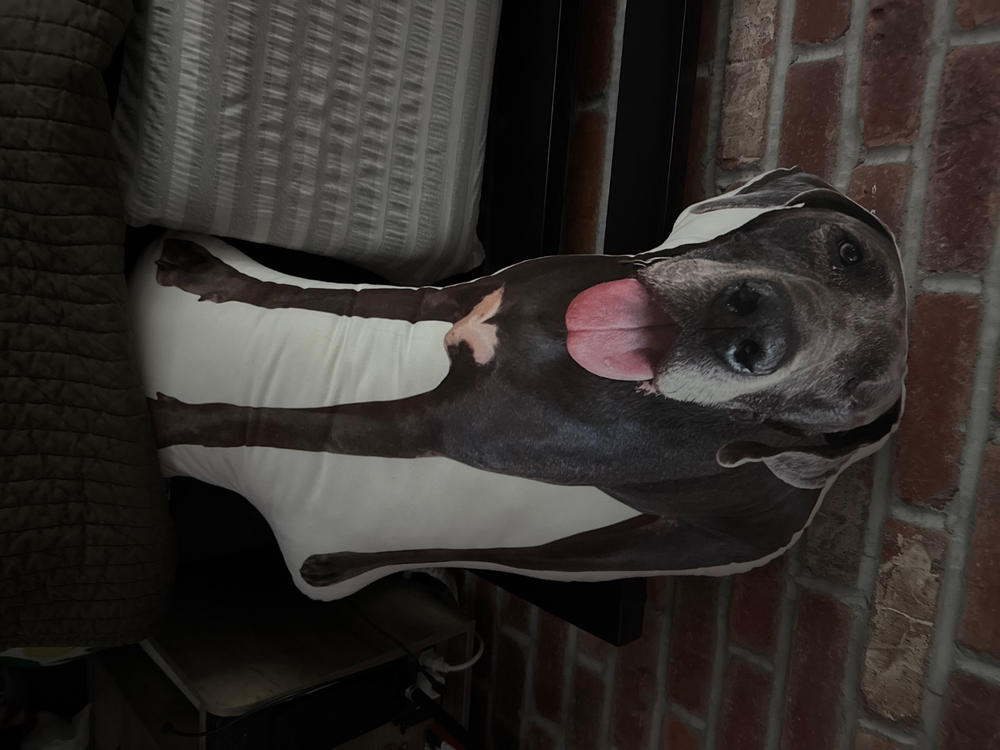 Custom Pet Pillow - Customer Photo From Marie Angelique Dionisio