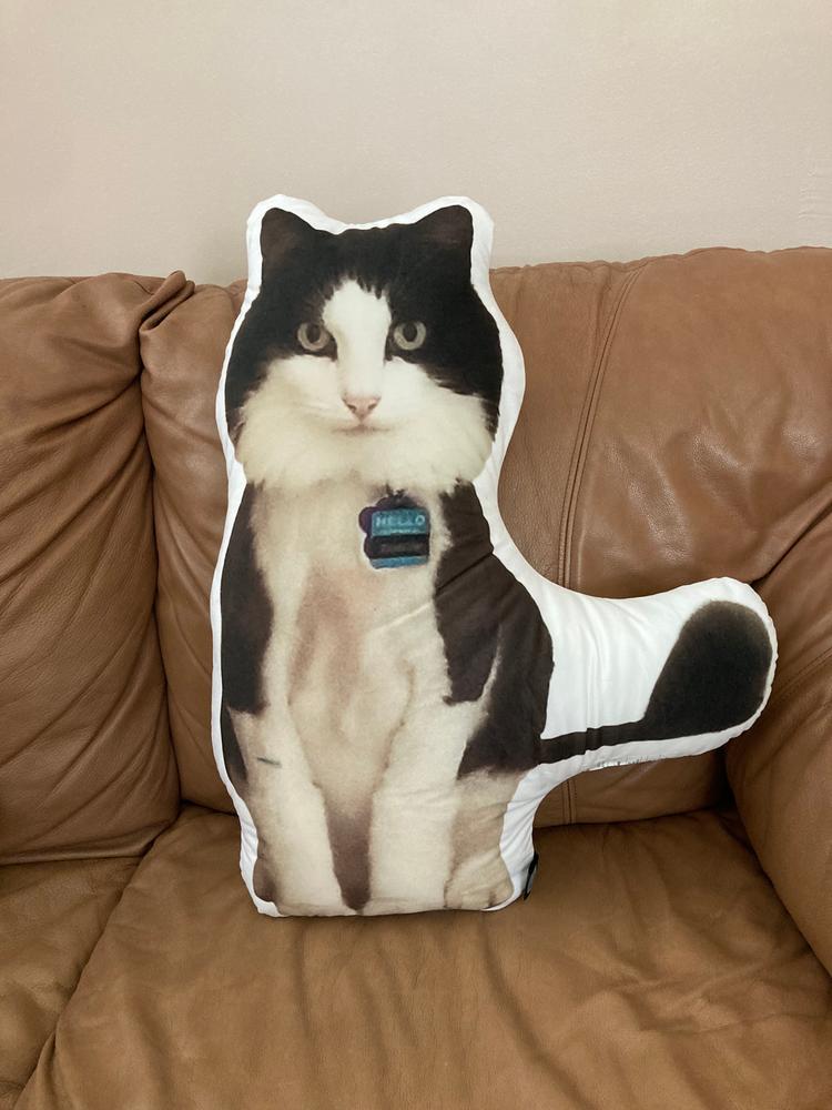 Custom Pet Pillow - Customer Photo From Maria-Elena Villarejo