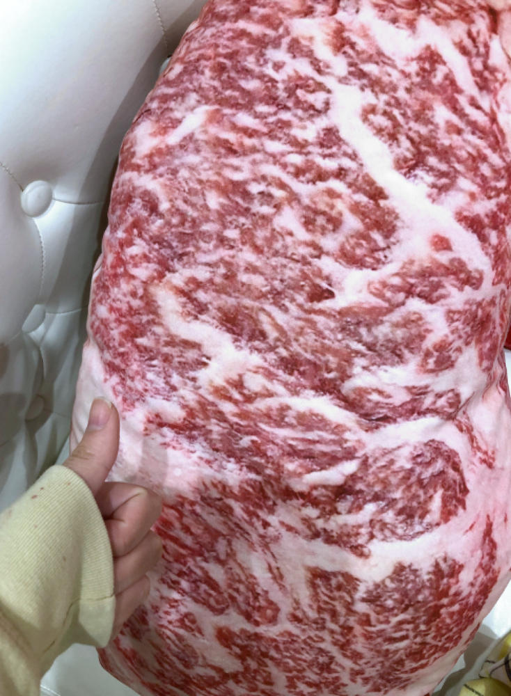 Wagyu Shaped Pillow - Customer Photo From kim