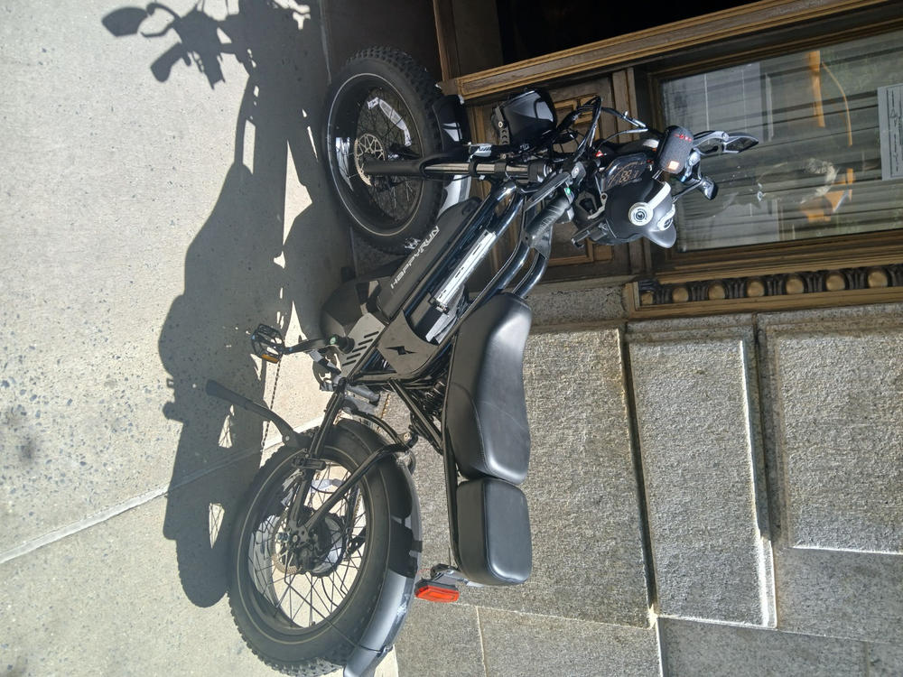 2025 NEW HappyRun G70 1000W Dual Battery Fast Electric Cargo Bike for Sale - Customer Photo From Elroy Artist