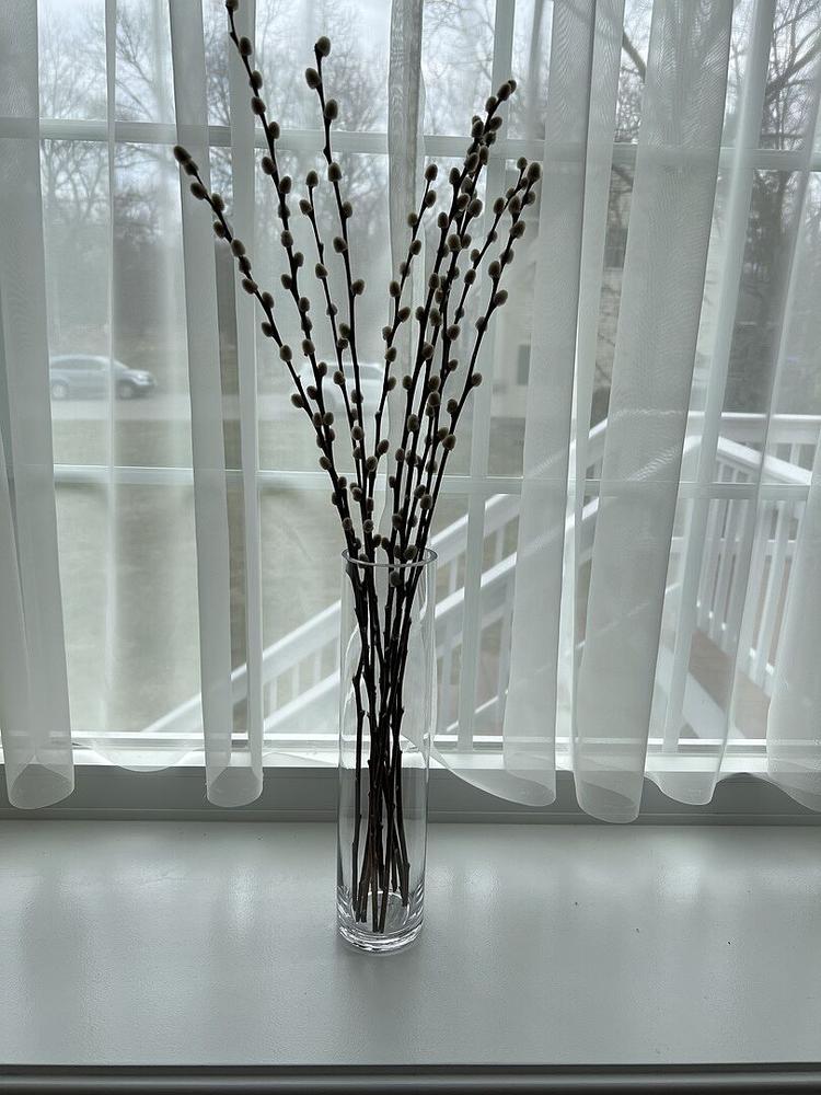 Richland Sloan Cylinder Vase 3" x 13.75" - Customer Photo From Charlene M.