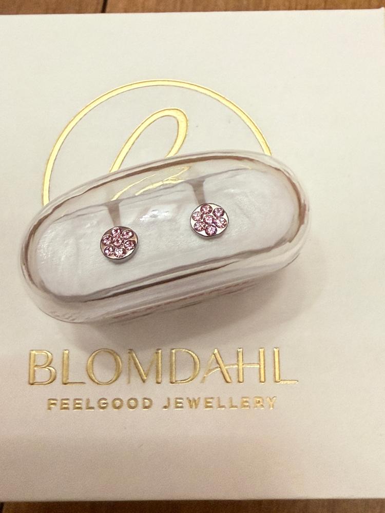 Silver Titanium 5mm Brilliance Plenary Earrings - Customer Photo From M.S.