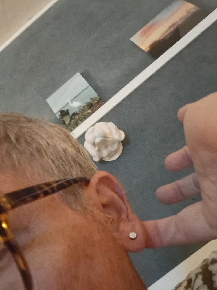 Golden Titanium 5mm Brilliance Plenary Crystal Earrings - Customer Photo From Amy V.