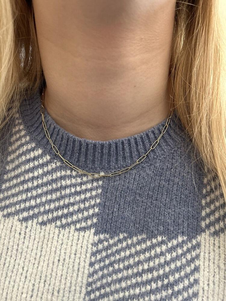 Link Necklace - Customer Photo From Angie W.