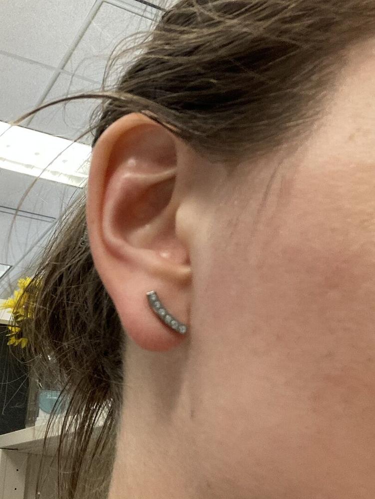 Brilliance Sweep Crystal Earrings - Customer Photo From Elizabeth G.