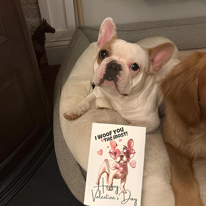 Printable French Bulldog Valentine’s Day Card | Instant Download - Customer Photo From Aubrey