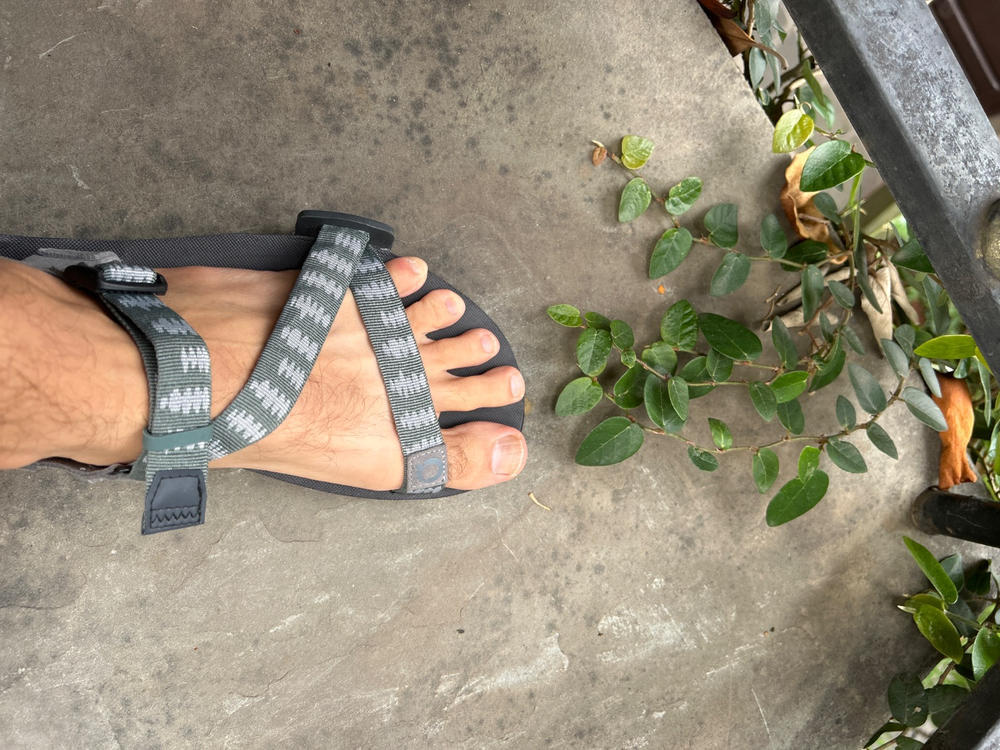 Z-Trail EV - Men - Xero Shoes