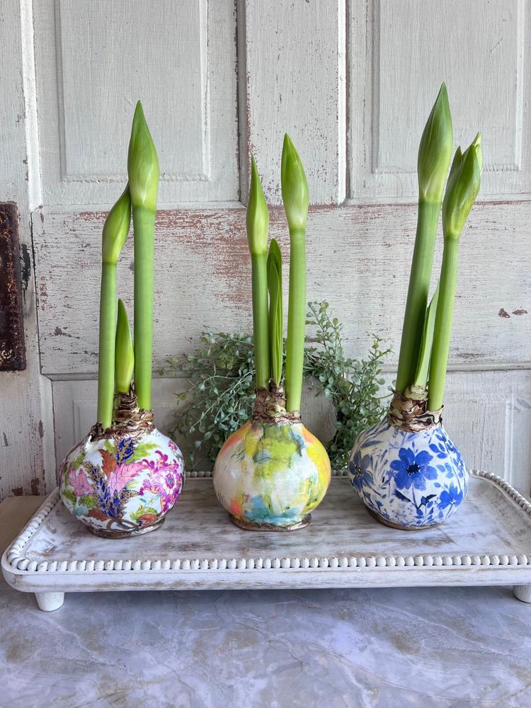 Bronze Elegance - 12 Bulbs - Customer Photo From Shea lewter