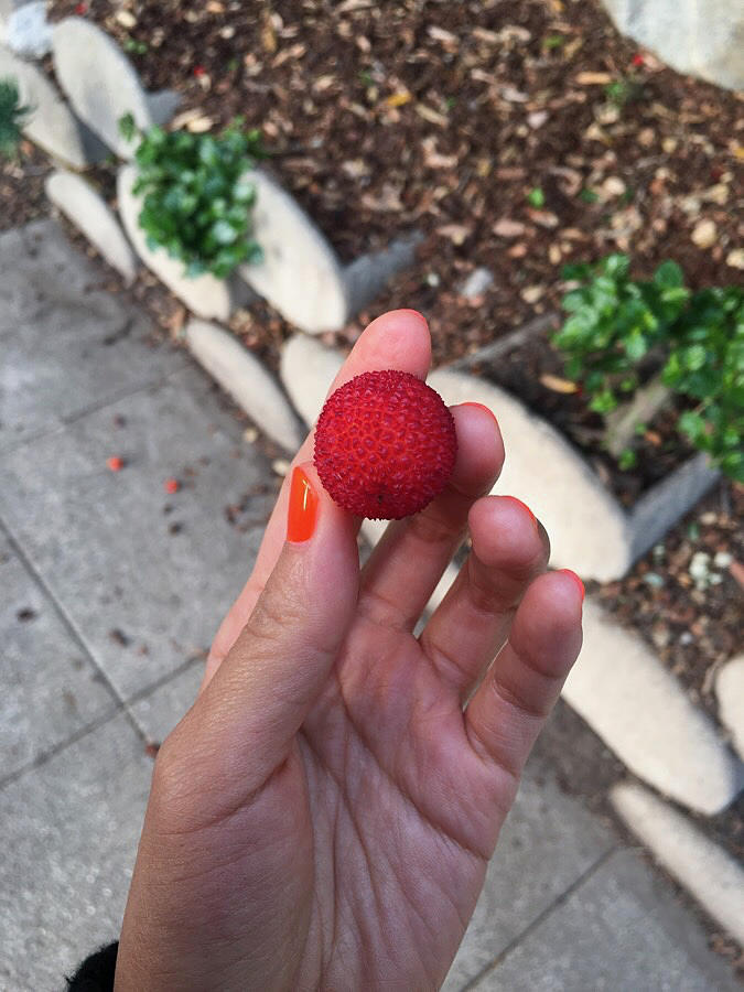 Haze Glaze Matte Top Coat - Customer Photo From Weiqi Z.