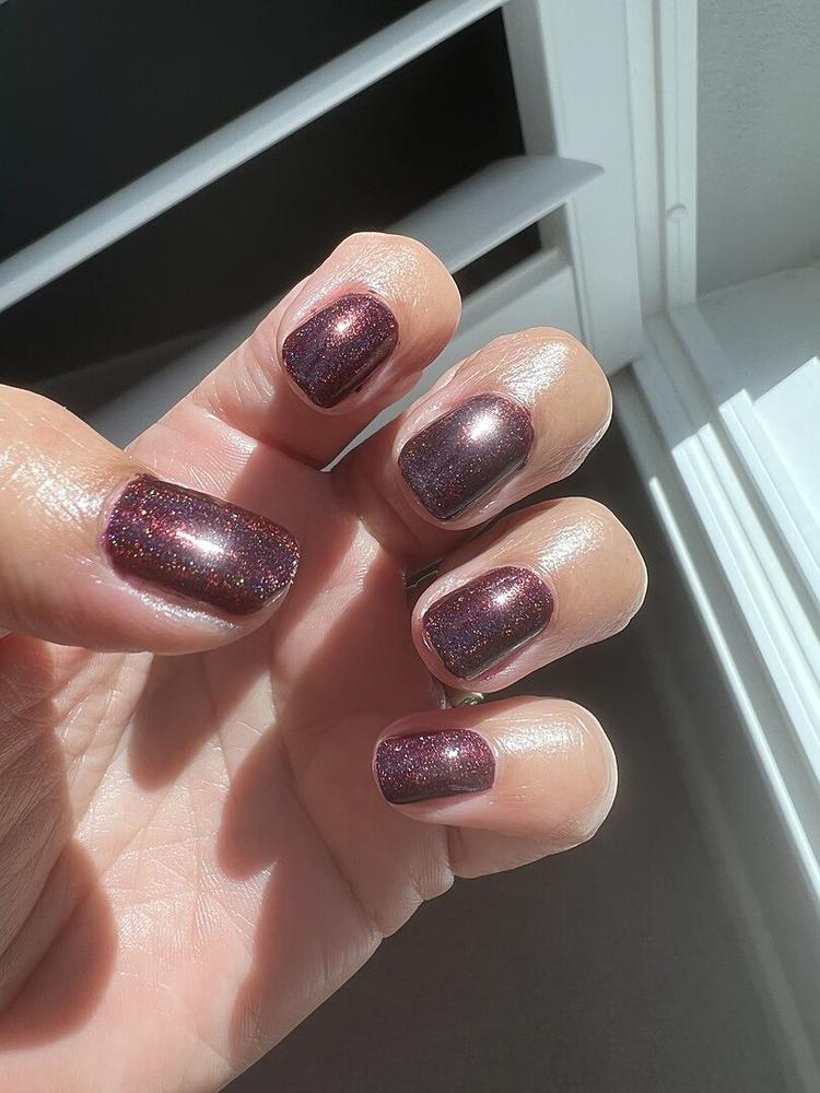 Ambrosia - Customer Photo From Monica J.