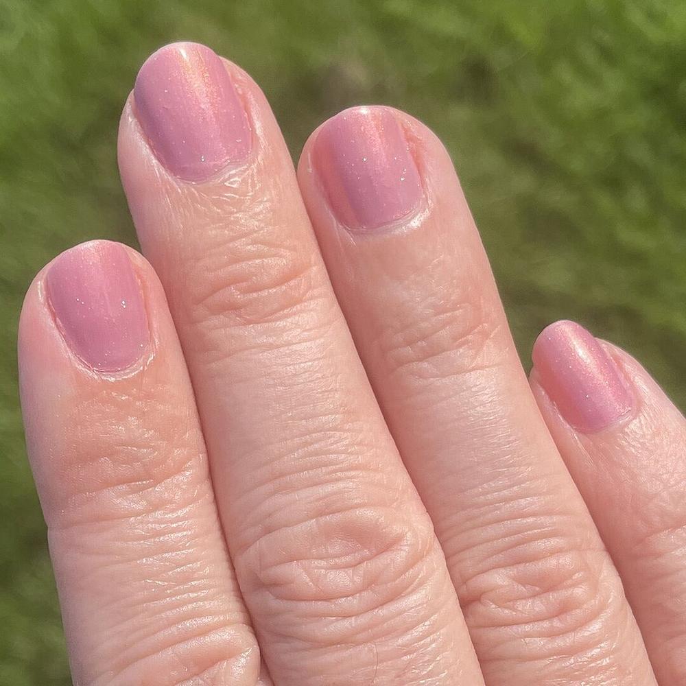 Plush Suede - Customer Photo From Dawn D.