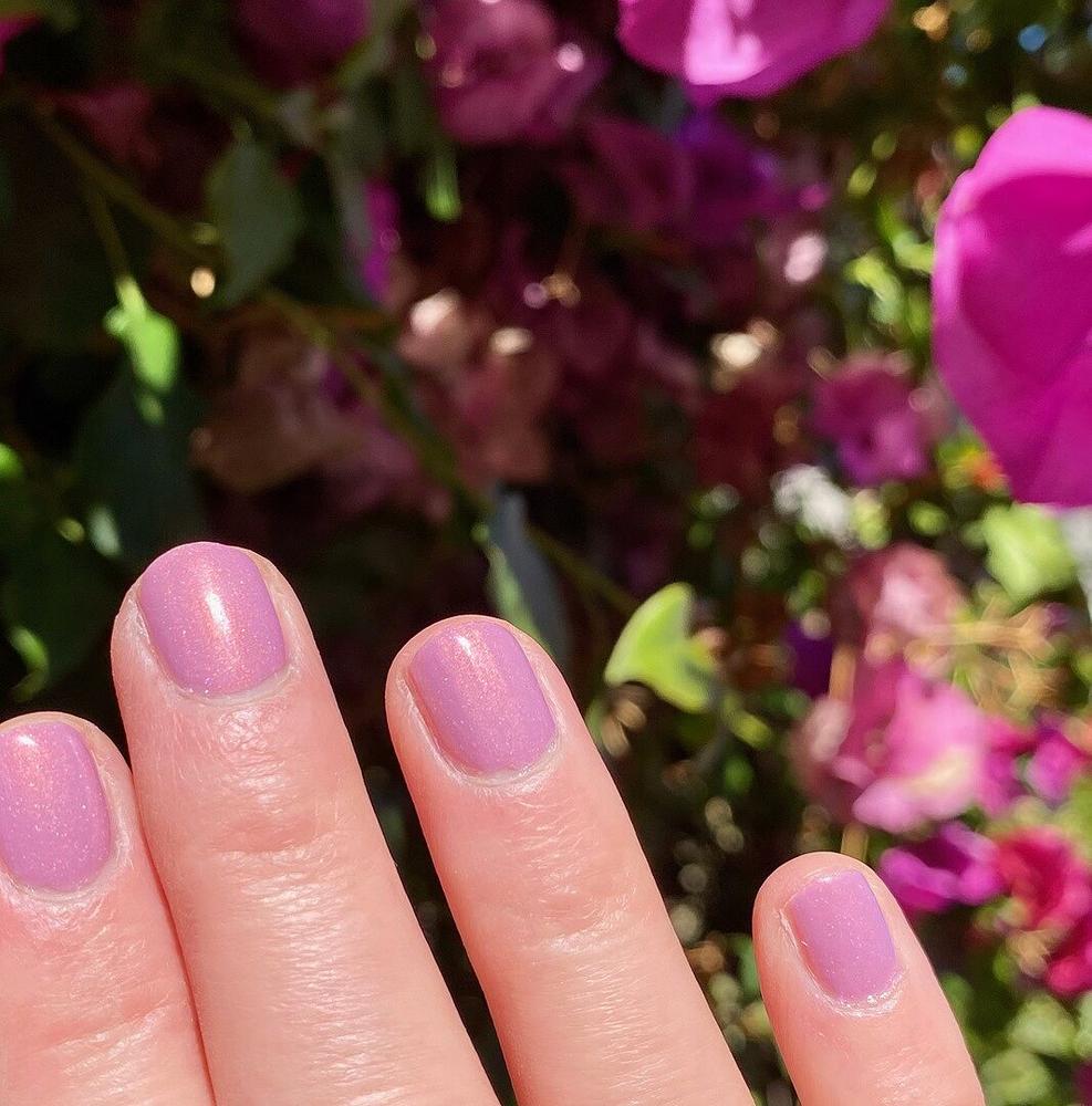 Plush Suede - Customer Photo From May O.