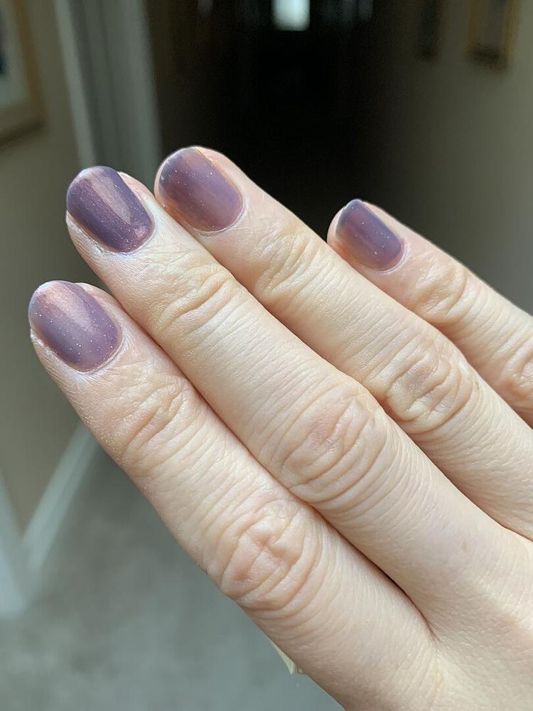 Wildflowers – Cirque Colors